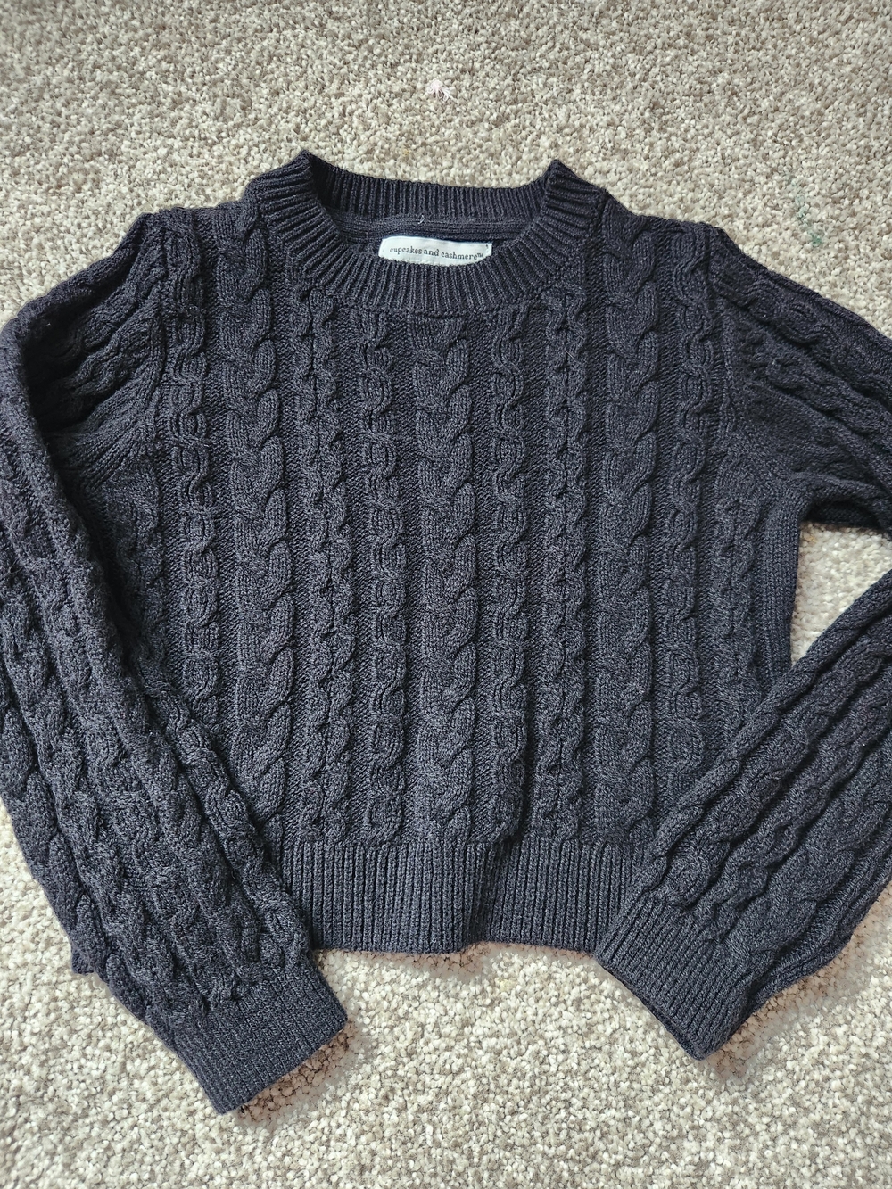 cupcakes & cashmere Black Cable-Knit Crewneck Sweater